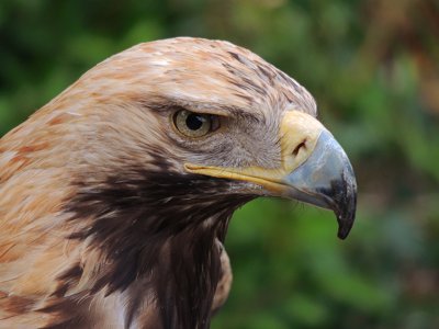 Garder un oeil sur toi_10459399236_l.jpg